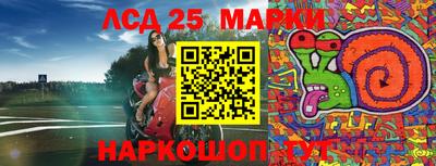 дмт Краснодар