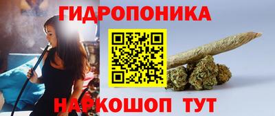 дмт Краснодар